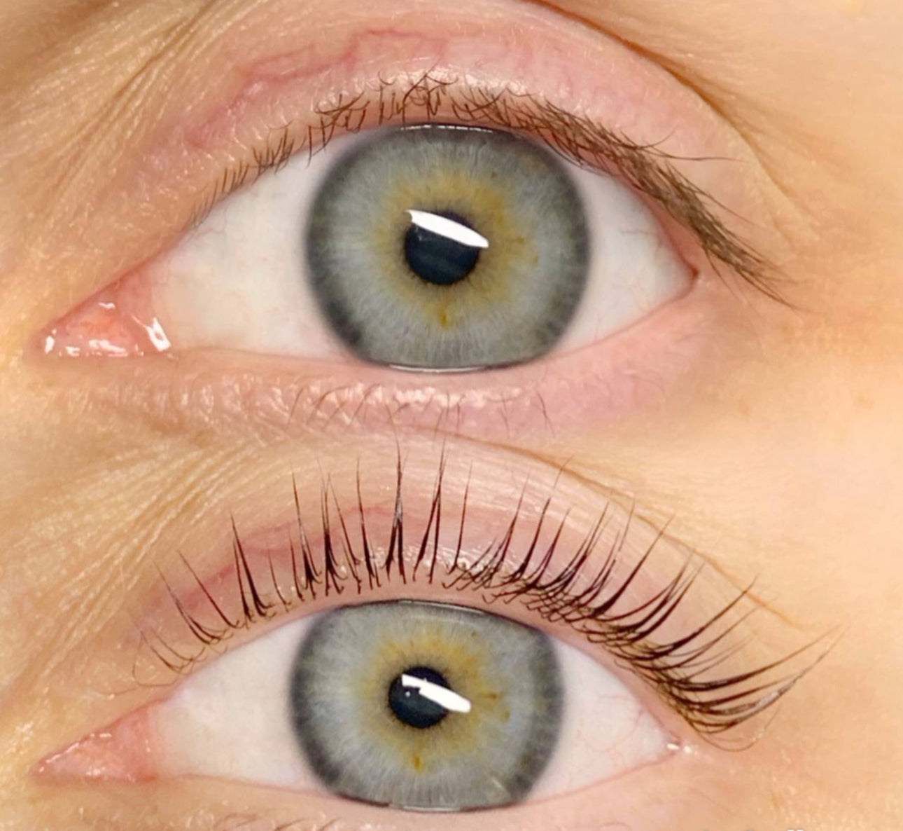 Powder/Poudre LashLift CorĂ©en đ°đ·