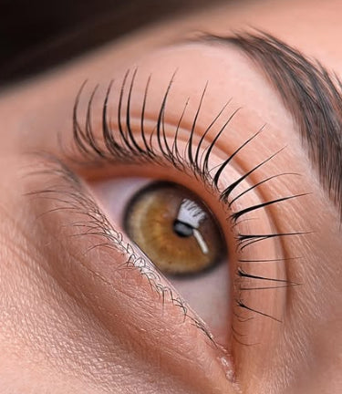 après lashlift formation