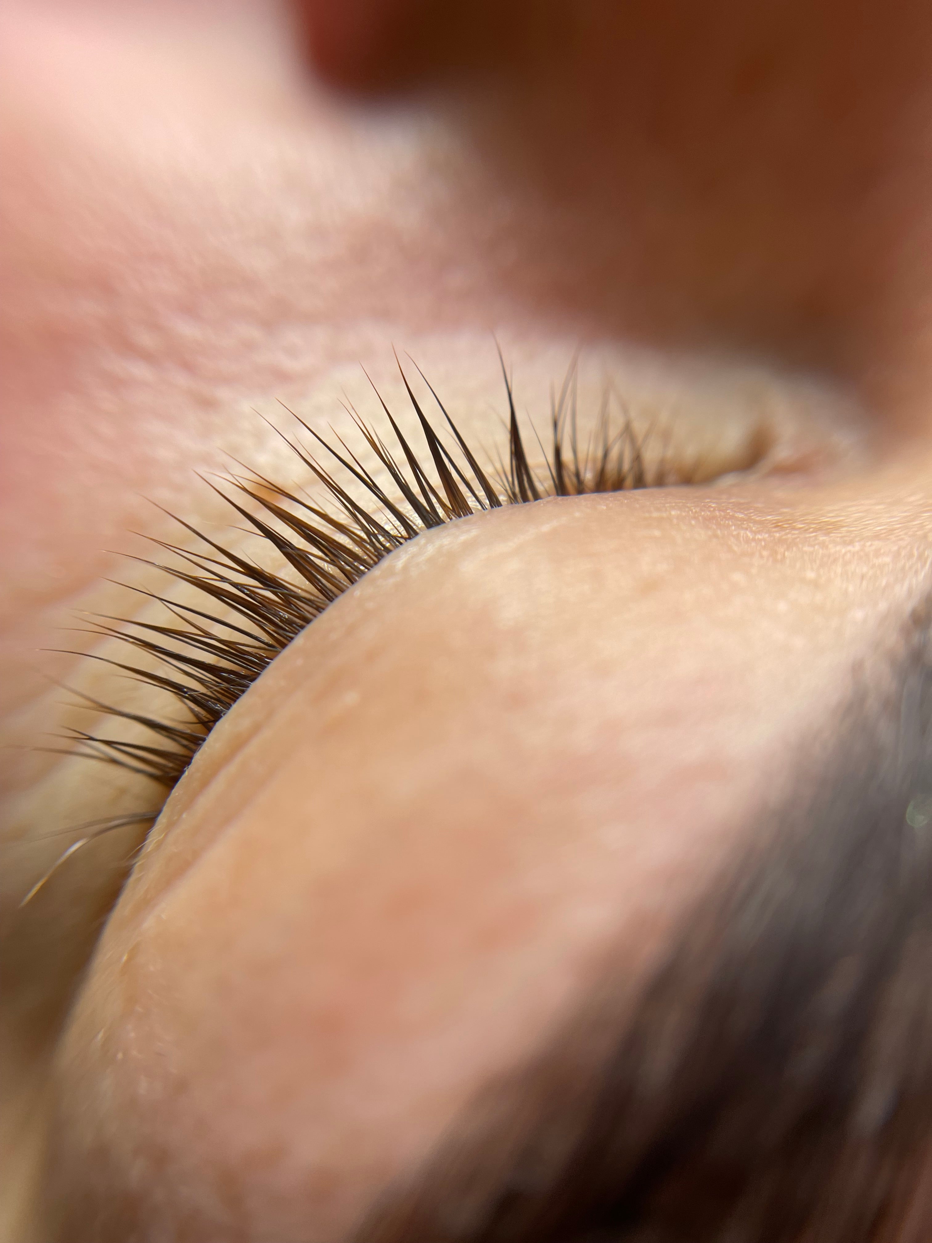 formation lashlift lexcillence