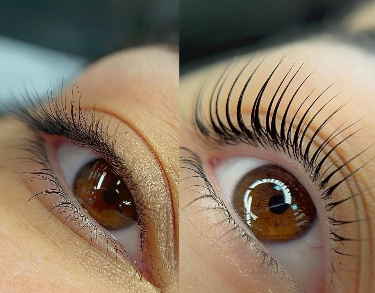 Pads multi tone, famille entre flat &amp; teardrop