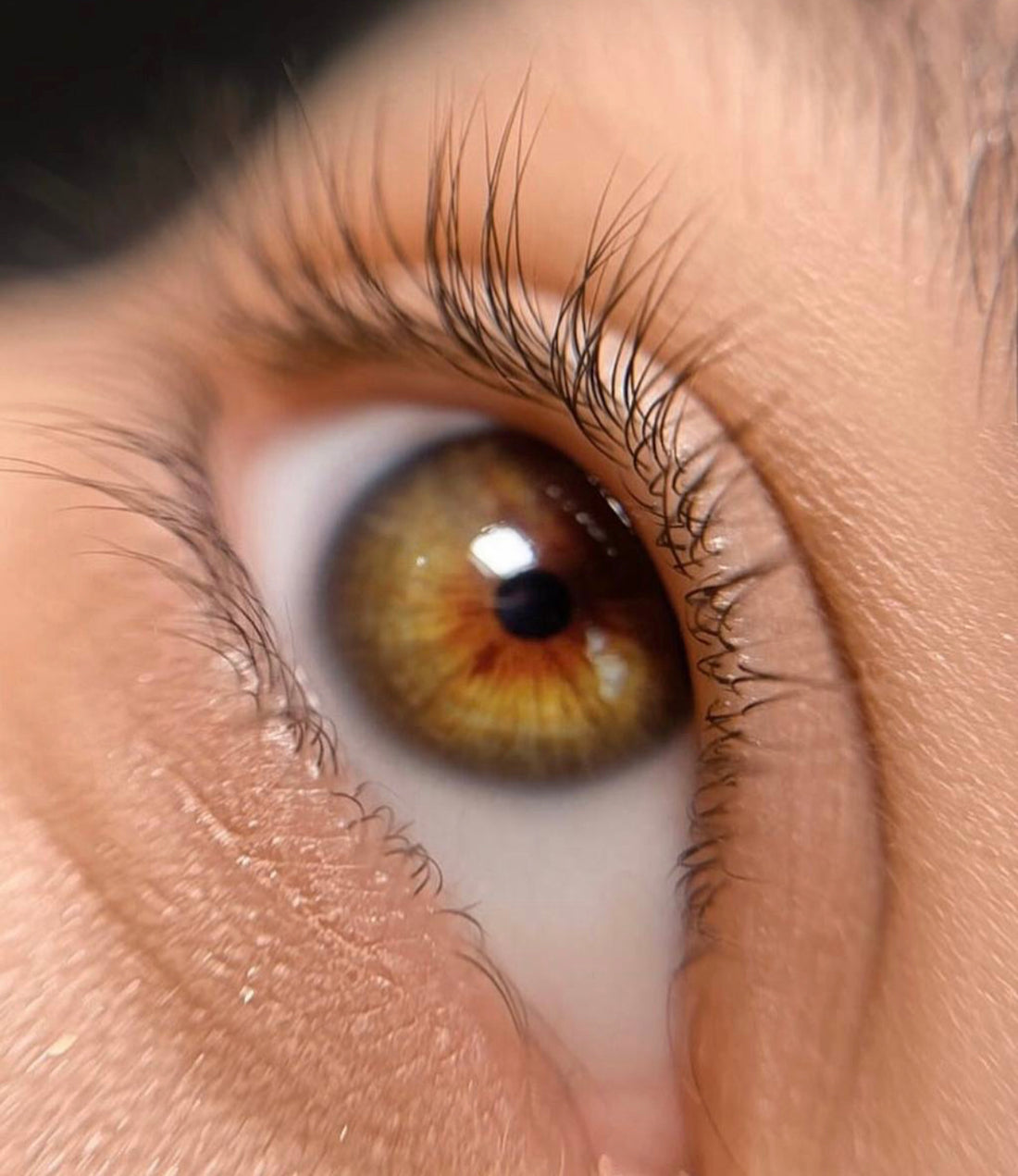 Formation Lash Lift 2.0 + Unlift + Dernières tendances