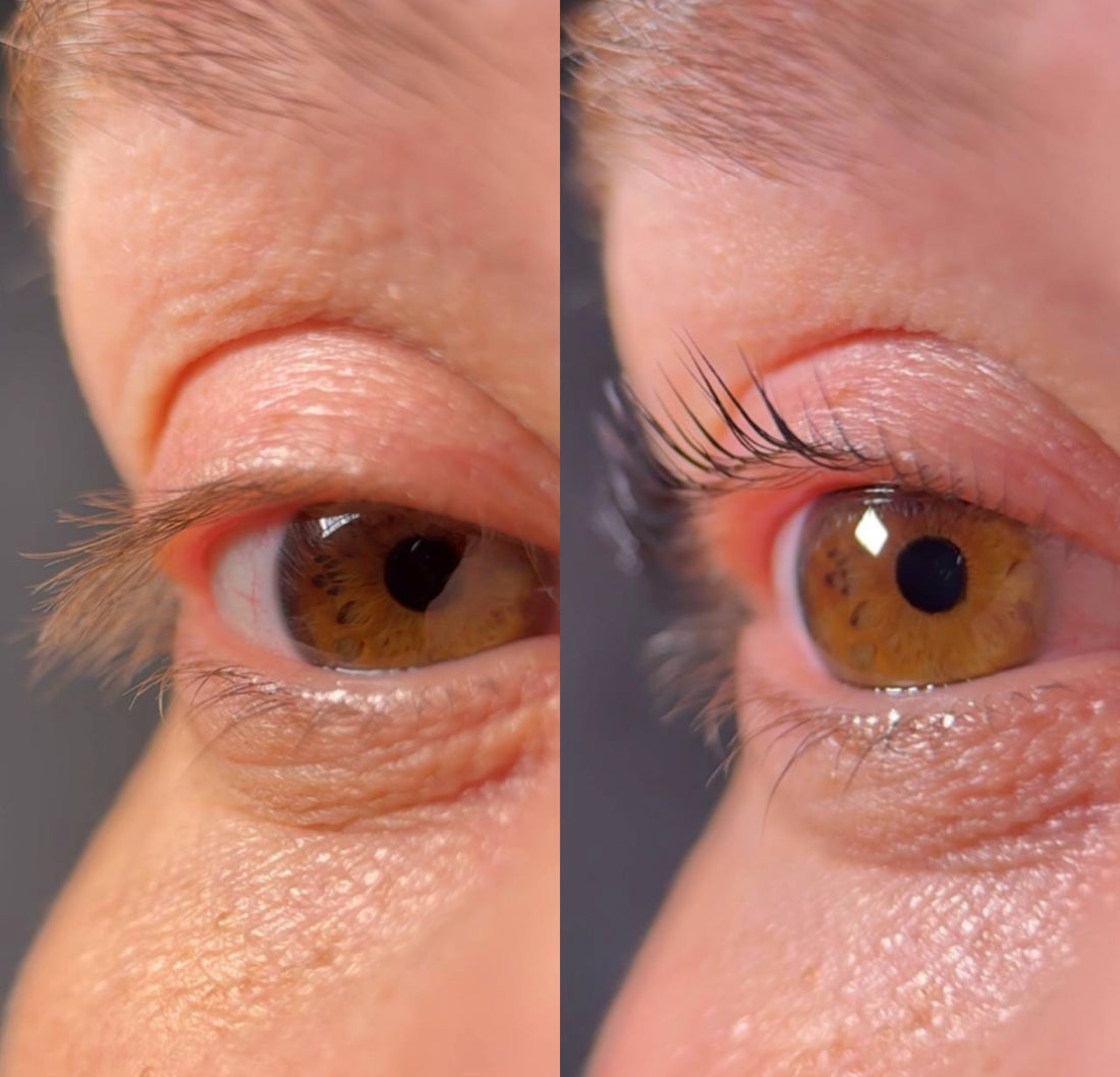 Pad ultra plats | technique lash coréen