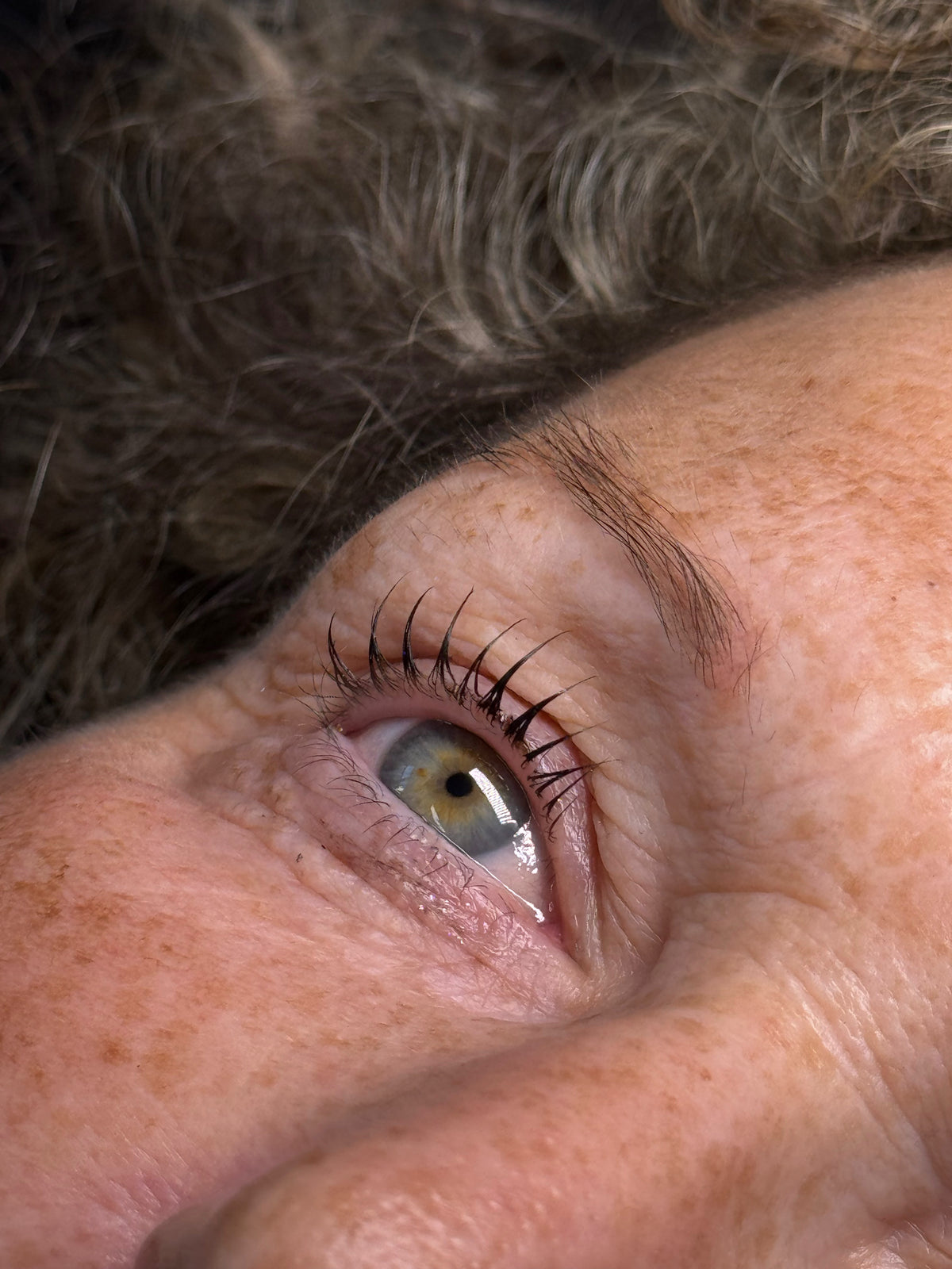 Formation Lash Lift en ligne 3-en-1 : classique, coréen &amp; Unlift