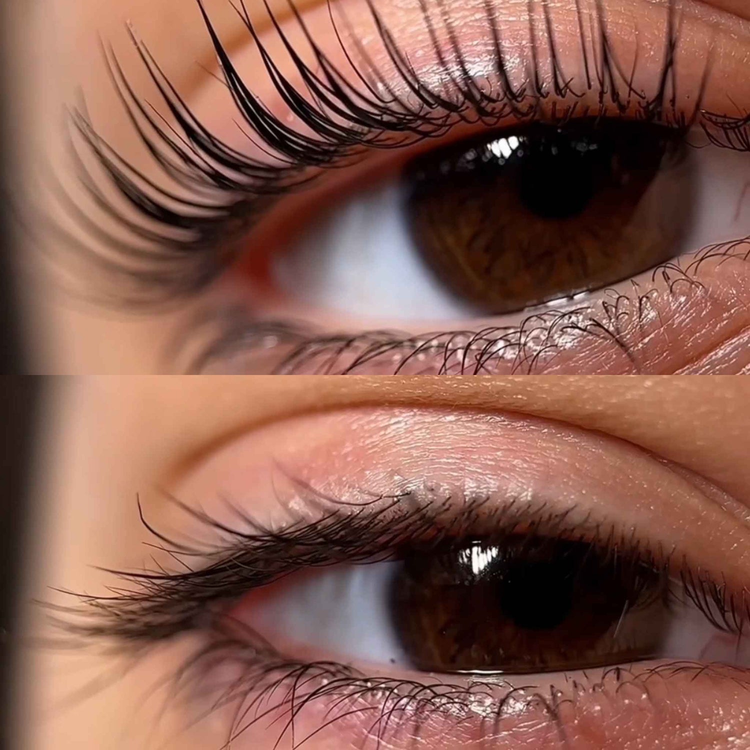 Avant après masterclass lashlift bruxelles