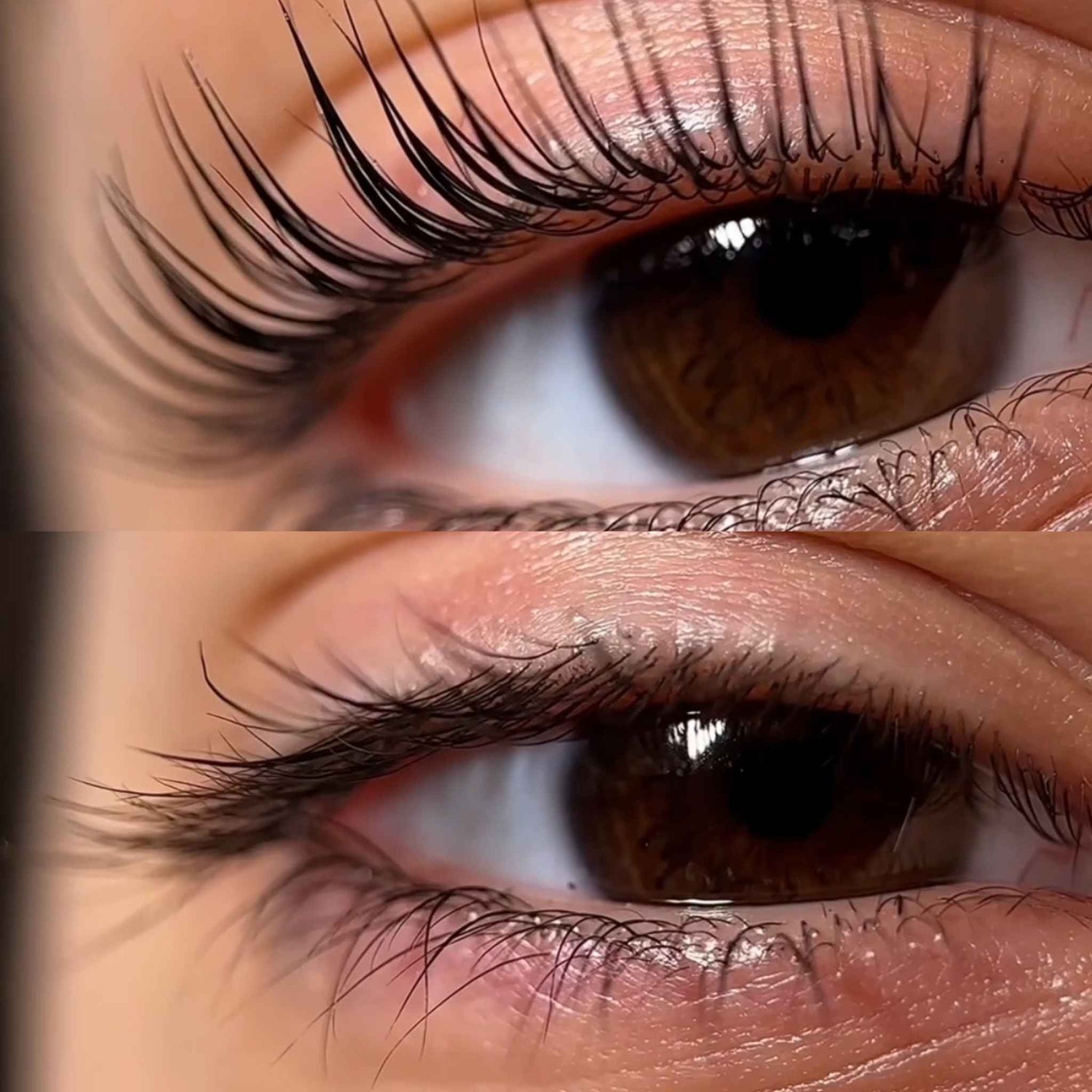 cils avant après lashlift coréen 