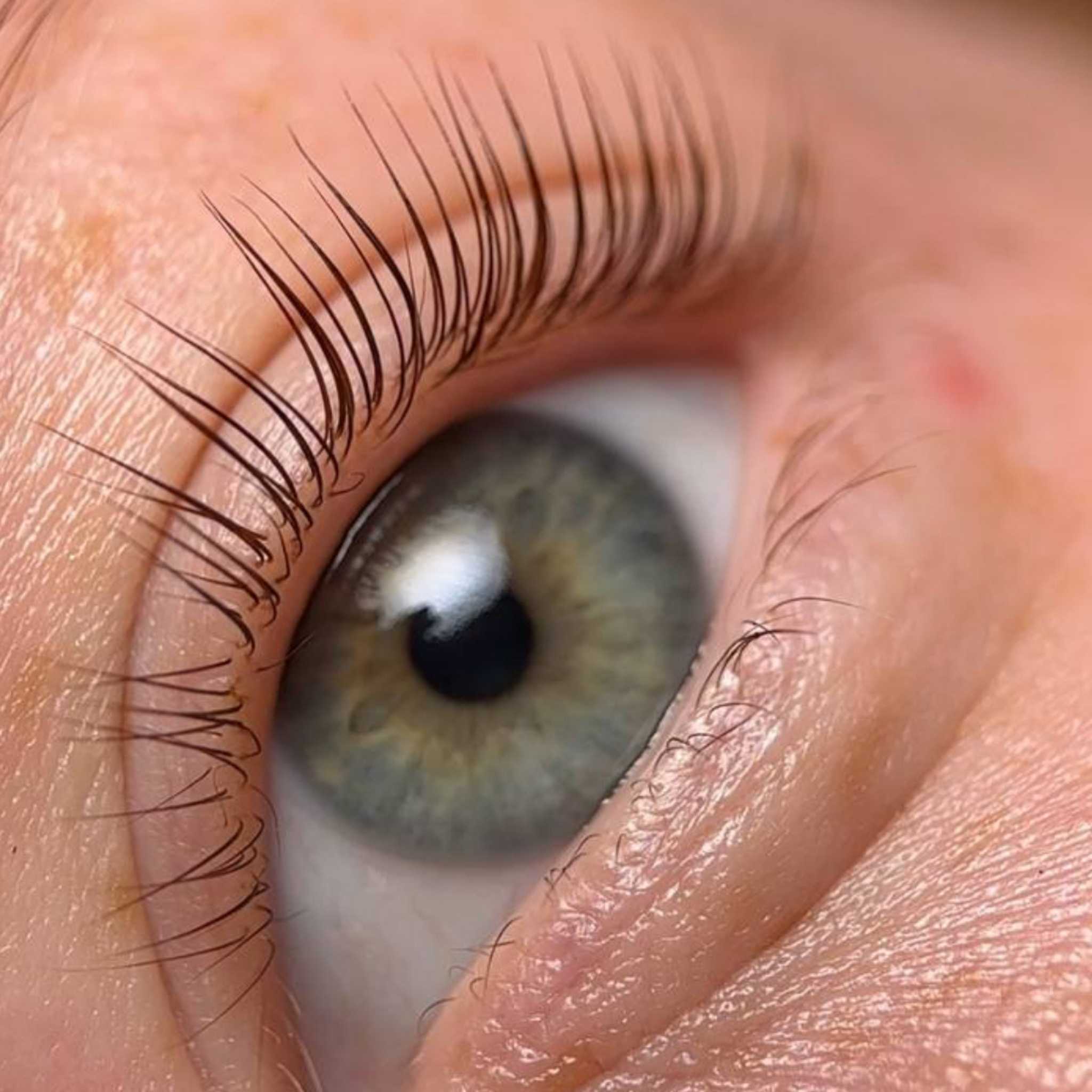 Cils résultats Pads Zola Jelly L-Curl