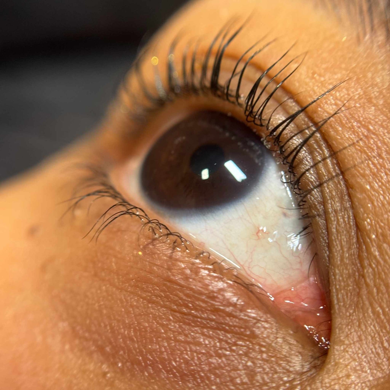 Lash lift formation edition 44