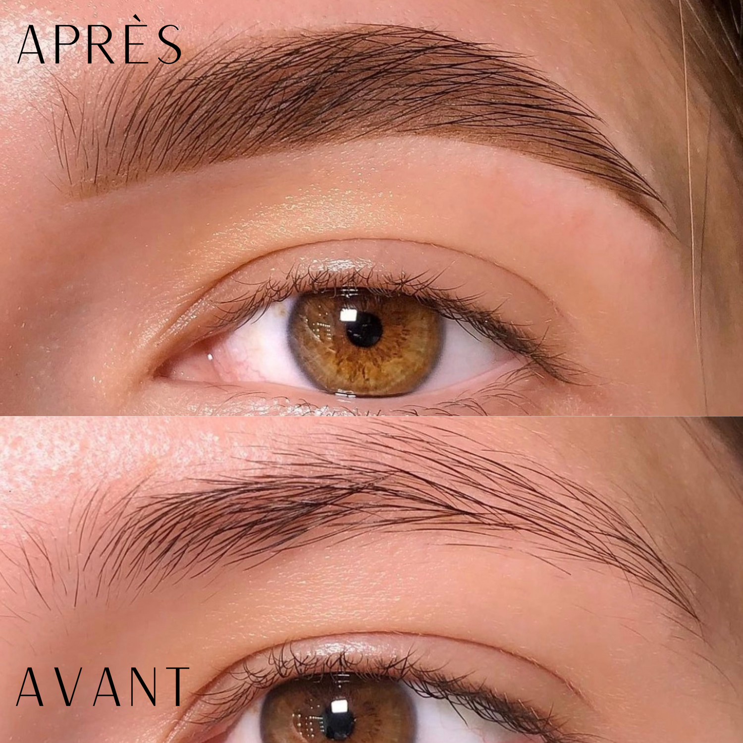 avant après teinture hybride zola lexcillence
