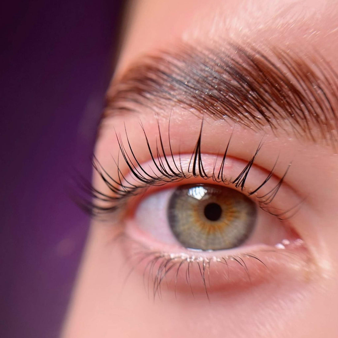 Résultat cils avec Pads Zola Prism, catégorie Hybride L
